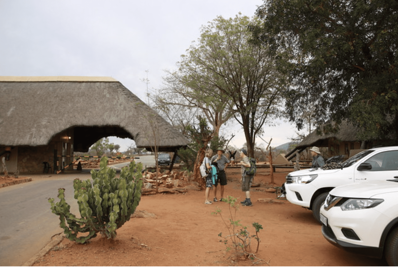 Read more about the article SA: Kruger National Park – Malelane Gate & Camp