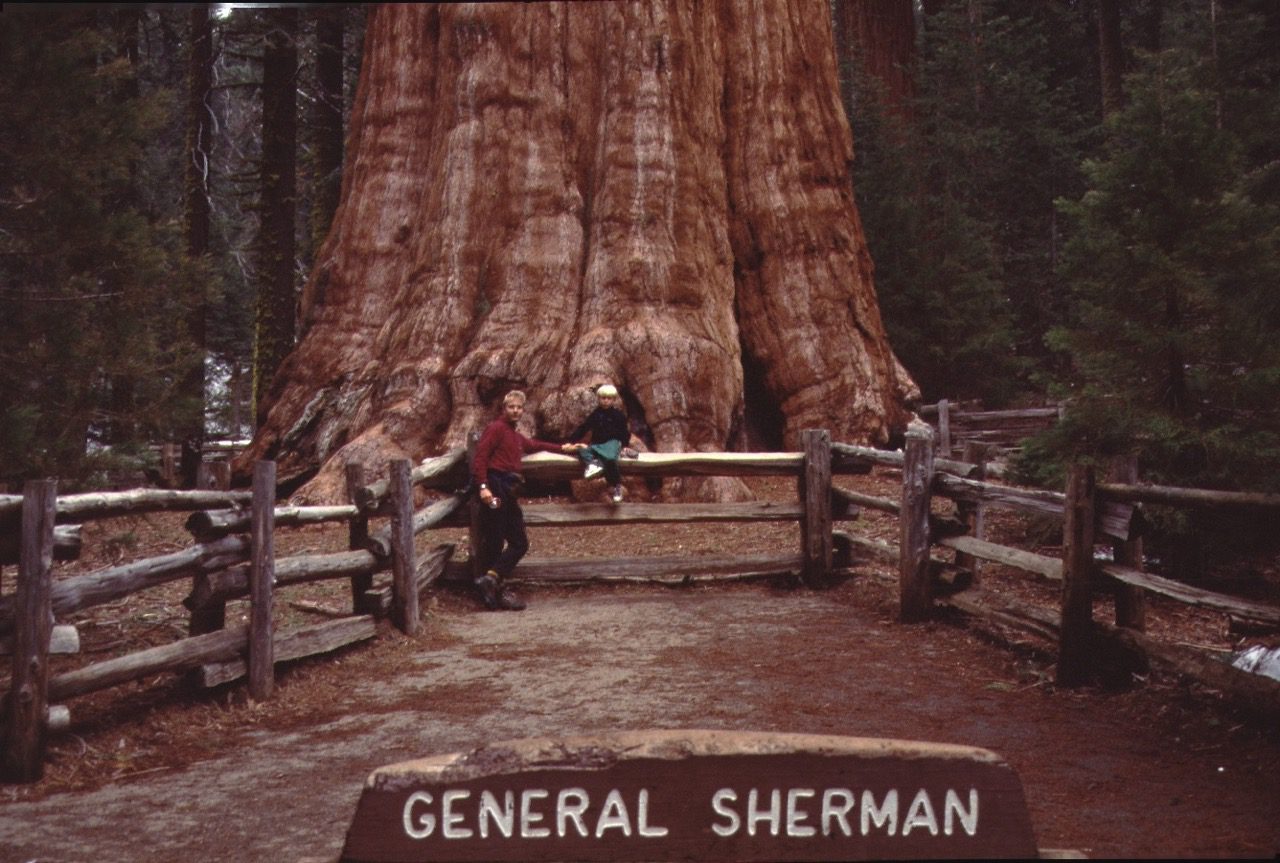 Read more about the article USA: Kings Canyon & Sequoia National Park 1995