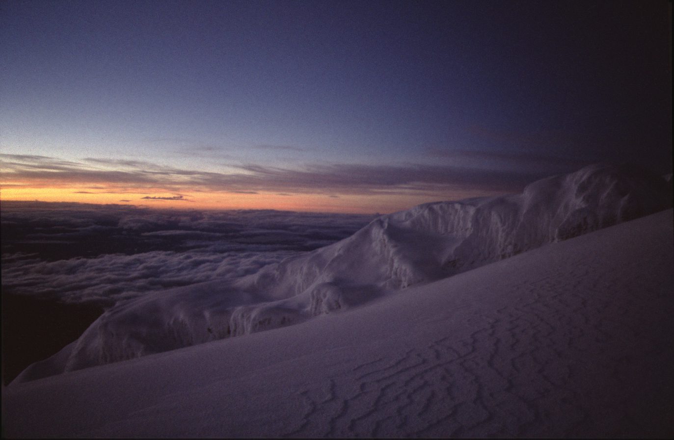 Read more about the article Kilimanjaro 1998