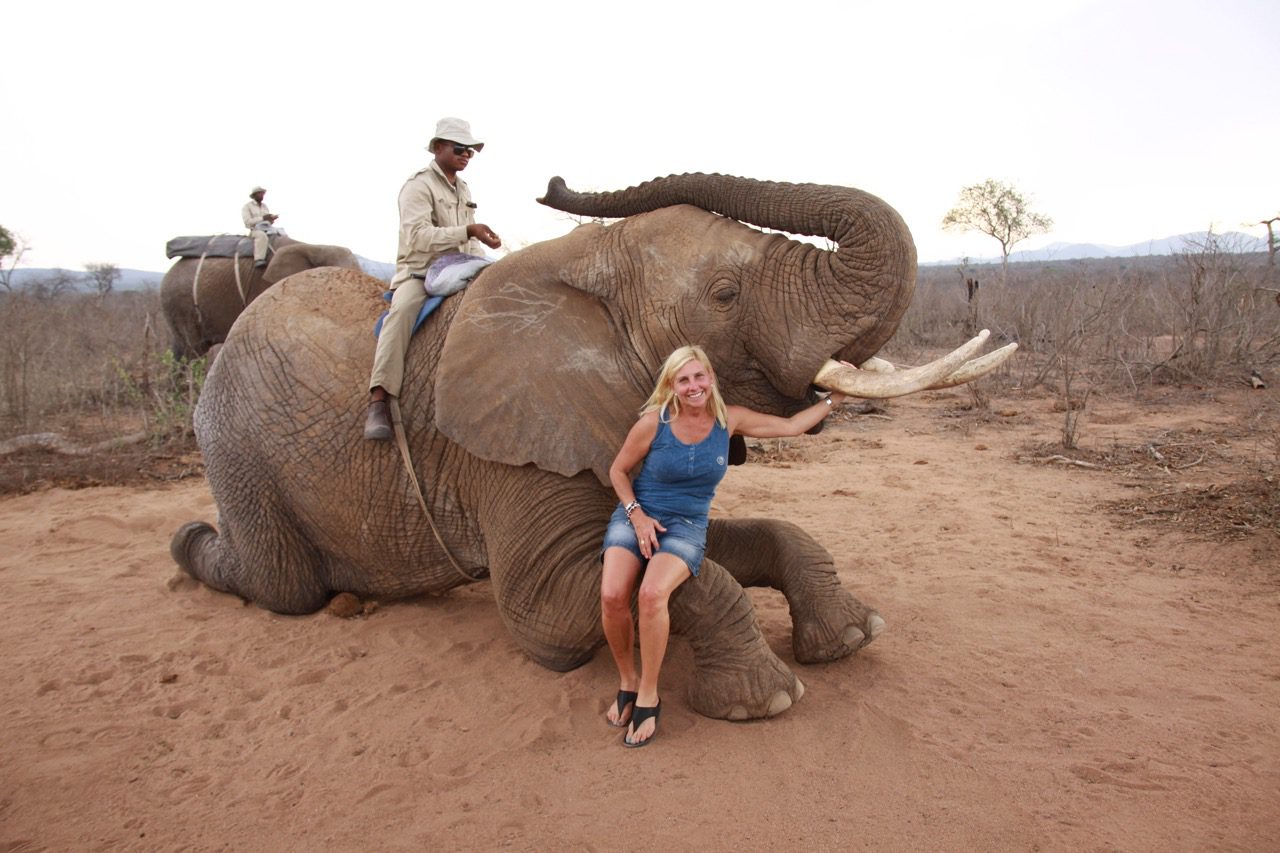 Read more about the article SA: Kwa Madwala – Elephant Encounter