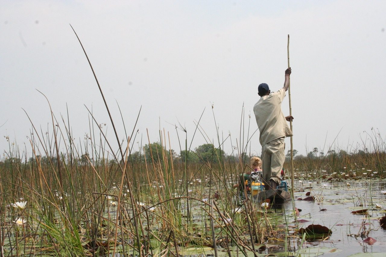 Read more about the article Okavango Delta: Oddballs 2010