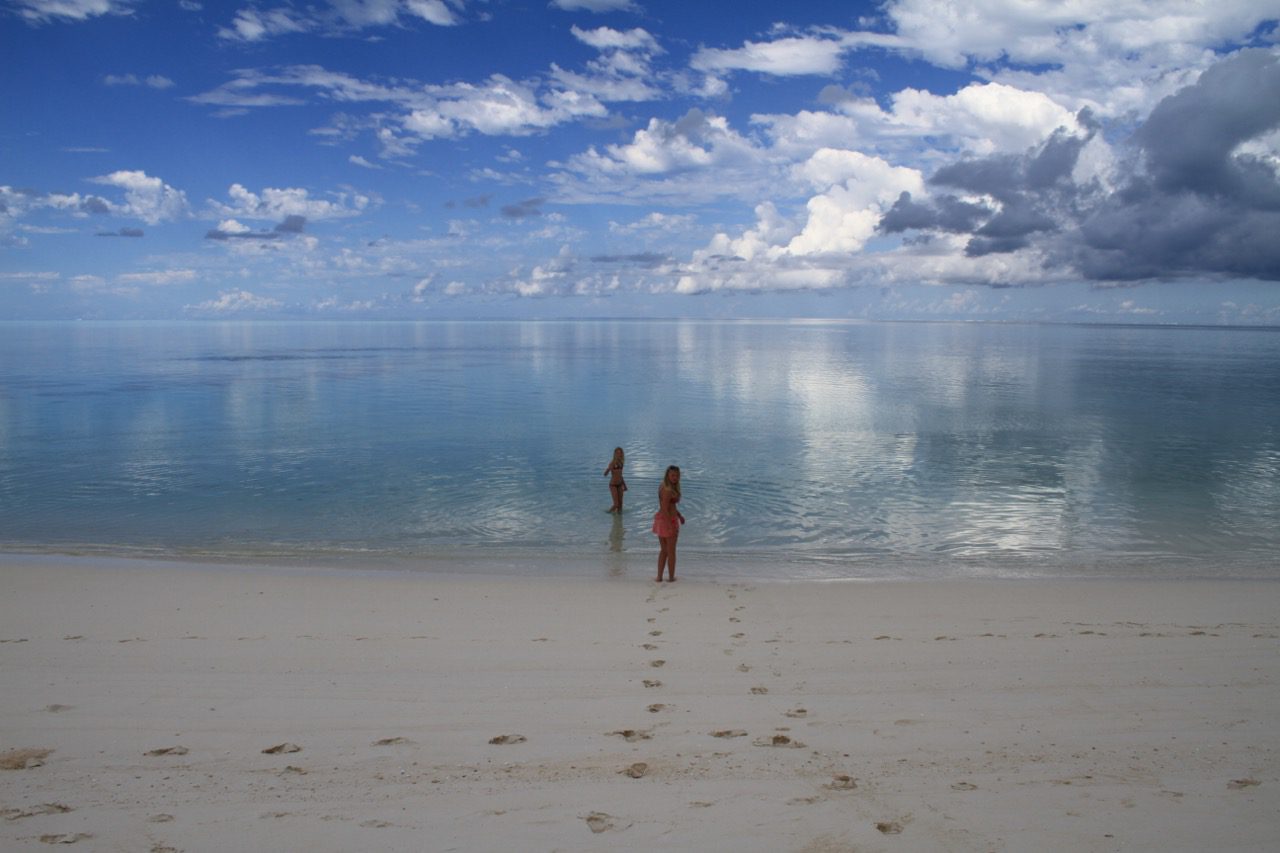 Read more about the article Australia: Heron Island (2011)