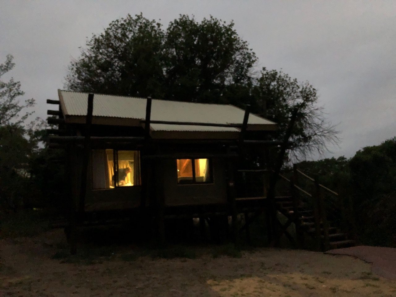 Read more about the article SA: Kruger National Park – Tamboti Camp