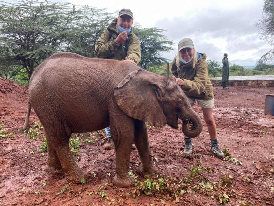 Read more about the article SHELDRICK TRUST