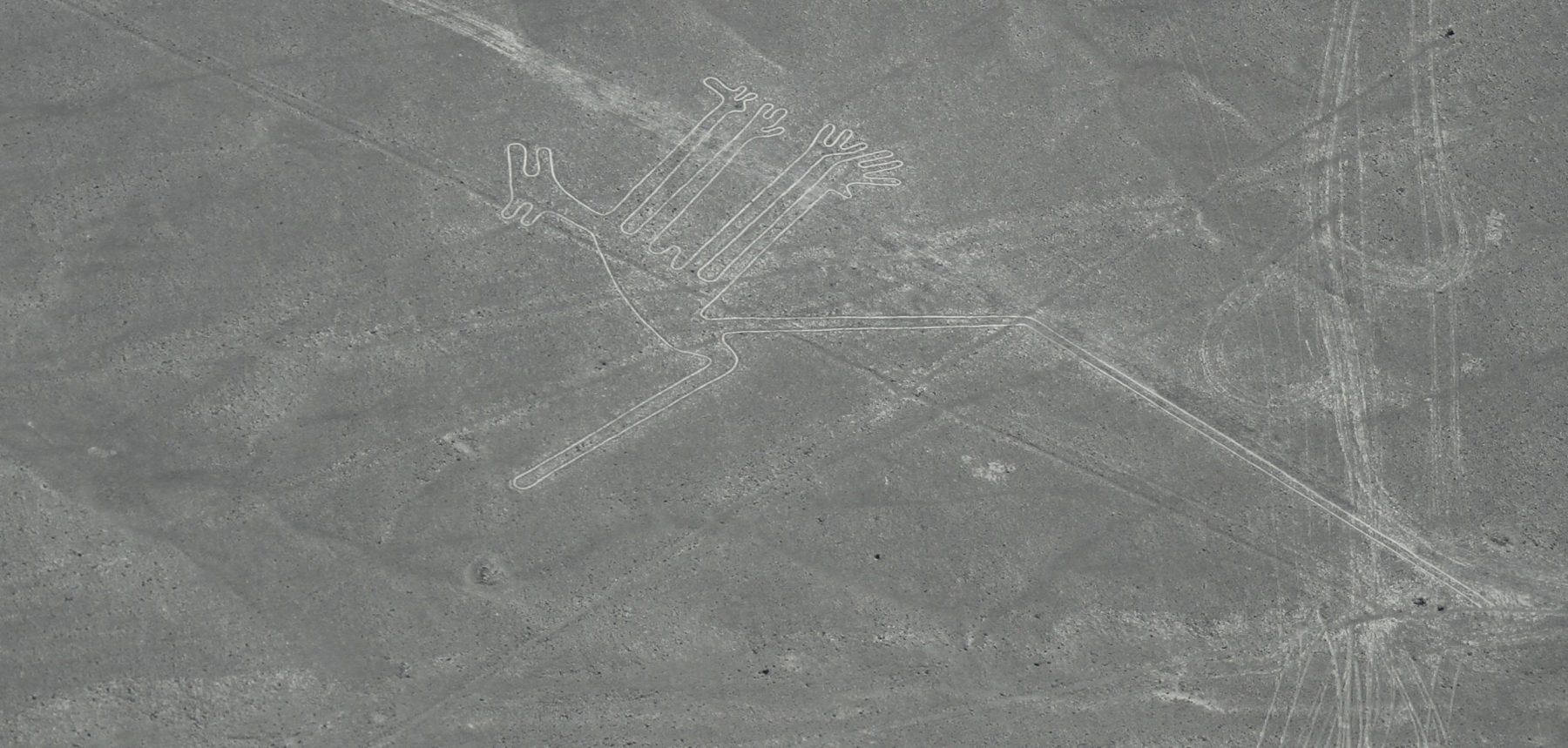 Read more about the article Nazca Lines
