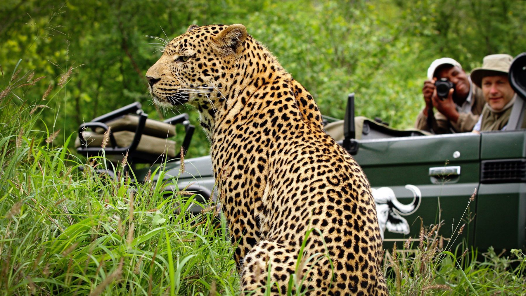 Read more about the article Greater Kruger National Park: Inyati