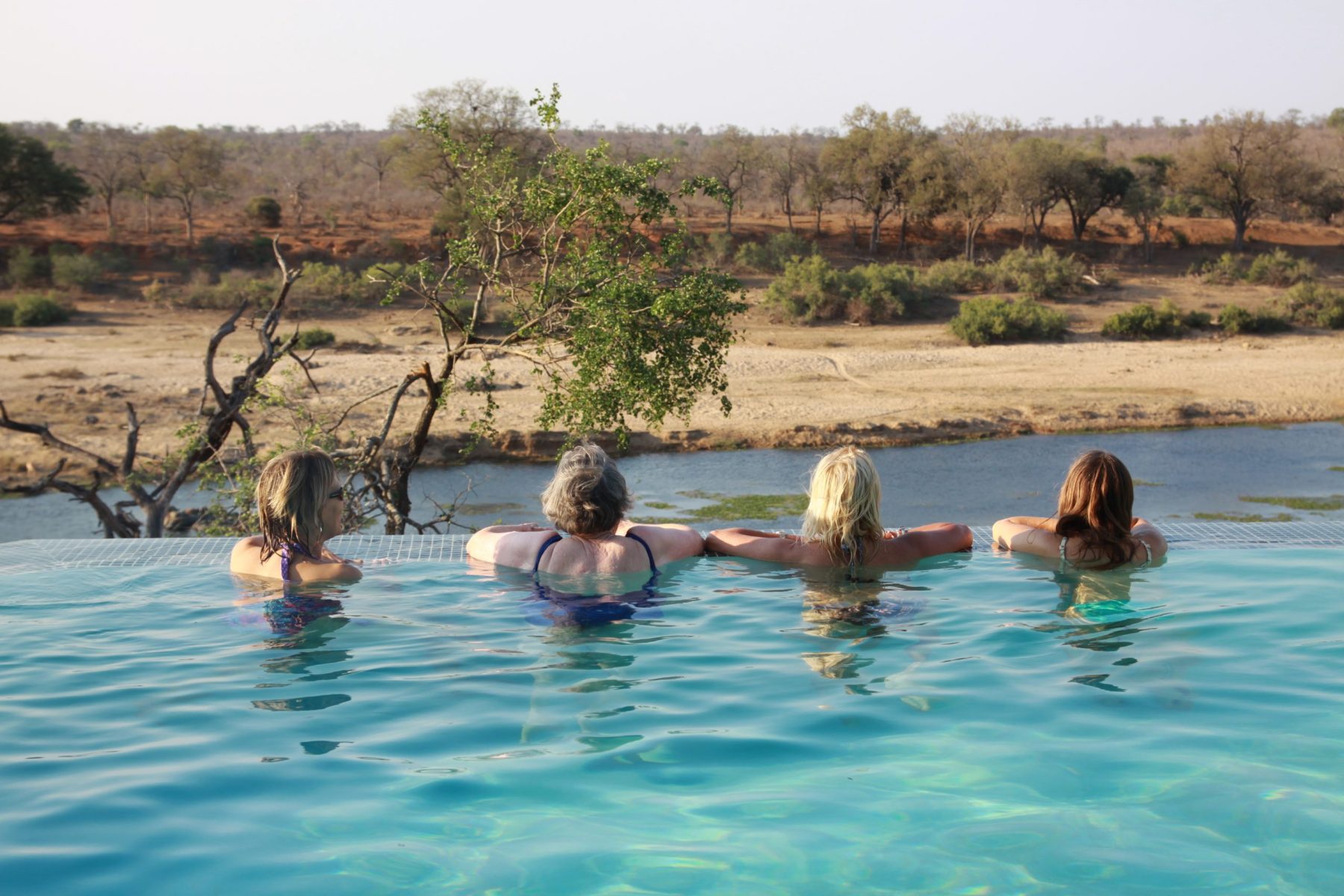 Read more about the article SA: Kruger National Park – 2009 Highlights (Mjejane, Oct)