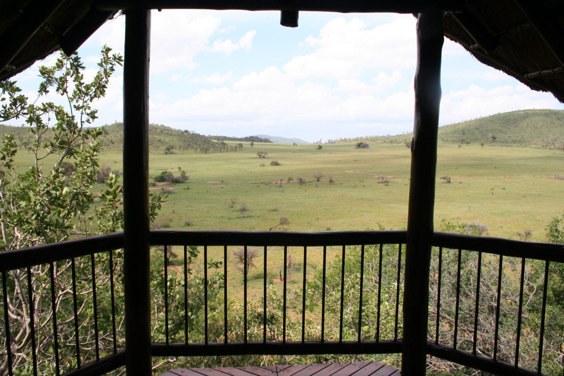 Read more about the article SA: Pilanesberg – Tshukudu Bush Lodge