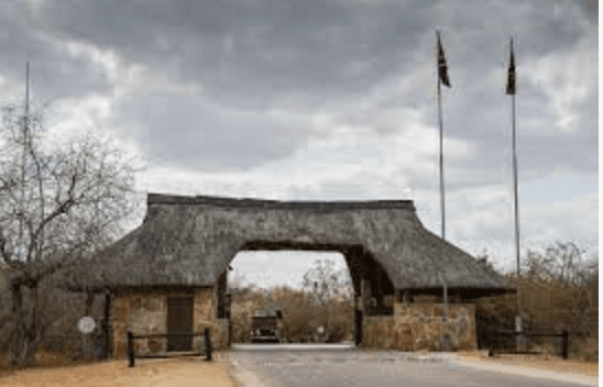 Read more about the article SA: Kruger National Park – Skukuza