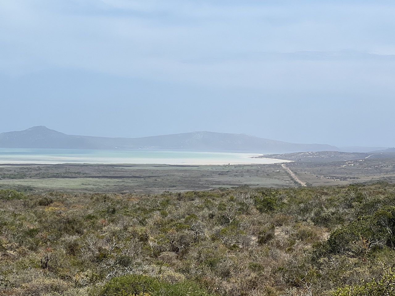 Read more about the article SA – West Coast National Park