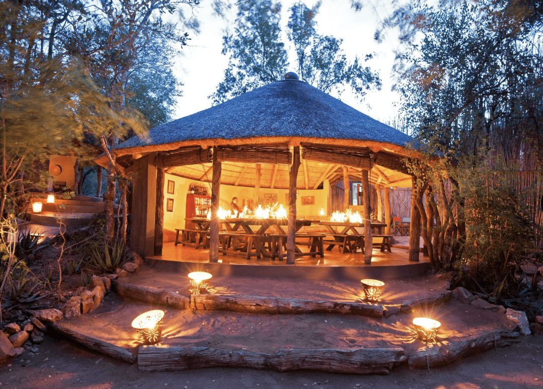 Read more about the article Timbavati Game Reserve: Umlani